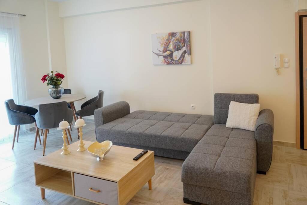 Modern Apartment In The City Center Ioánina Exterior foto